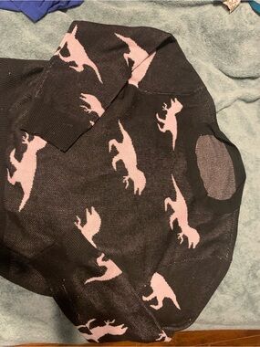 ⭐️ 3/30$ — Black Sweater with Pink dino Silhouettes
